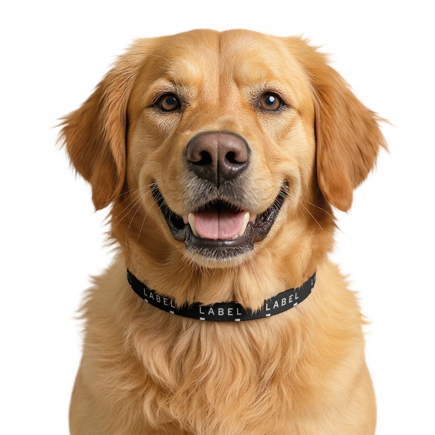 LABEL — Clip-On Pet Collar