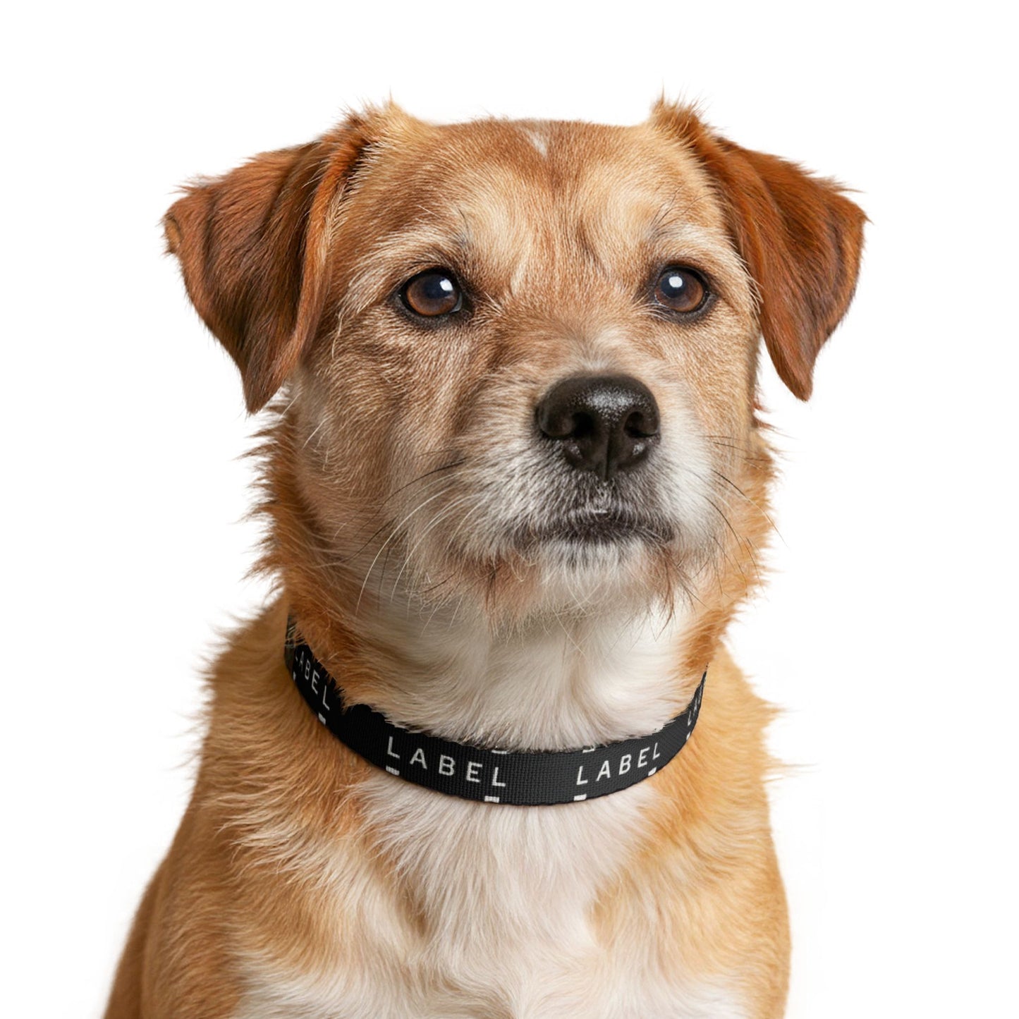 LABEL — Clip-On Pet Collar